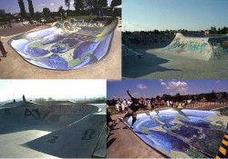 Skatepark Bowl de Salaise sur Sanne